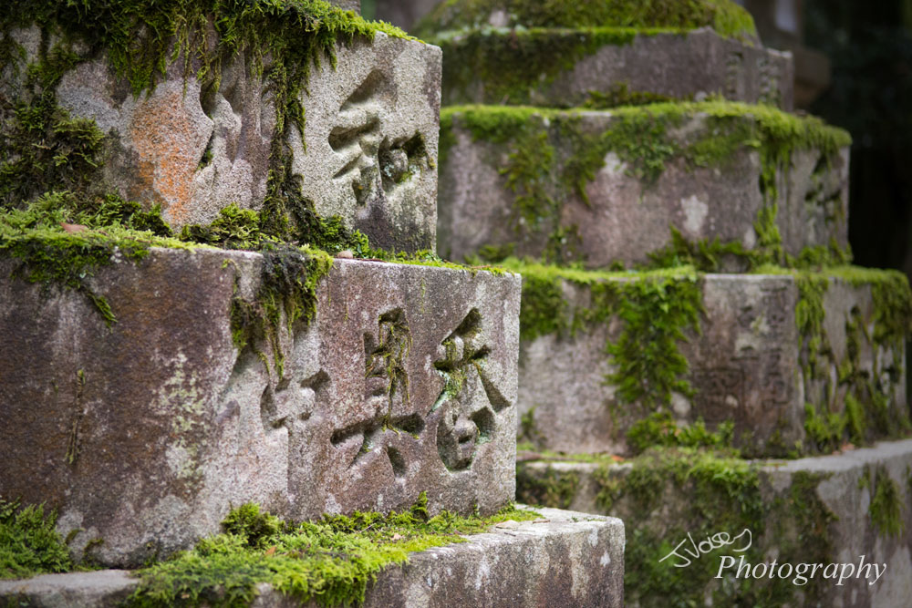 Nara Stone Characters